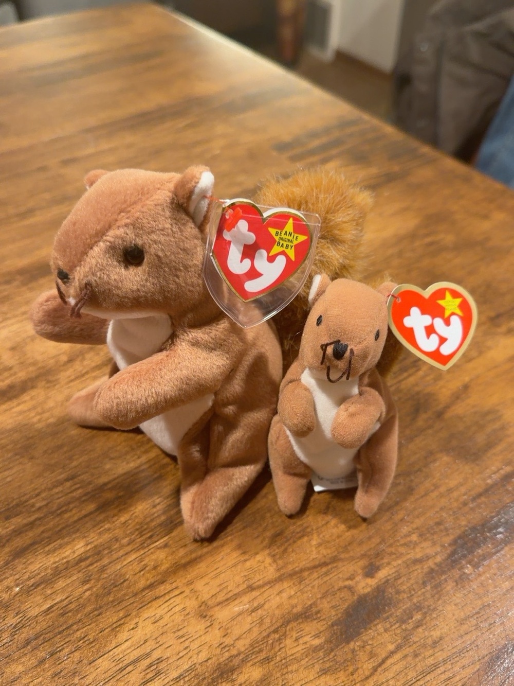 Ty Brown Squirrel Beanie Babies Duo